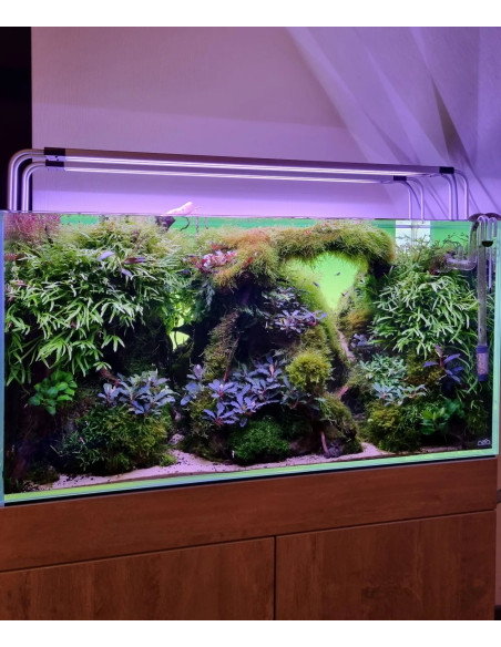 Oase - HighLine Premium² LED 100