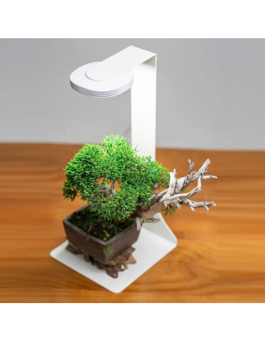 Chihiros - Magnet Light Base