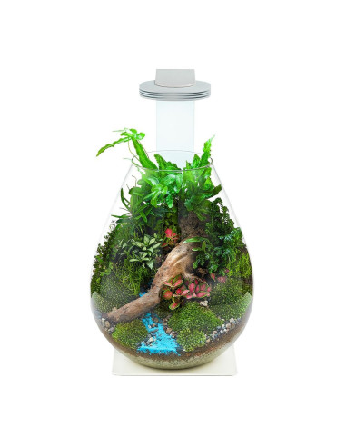 Chihiros - Glass Pot Dew Shaped