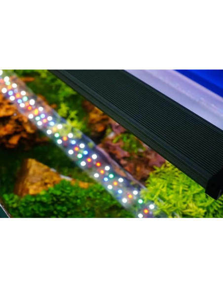 Twinstar Light 45B III