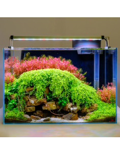 Twinstar Light 20B III 2