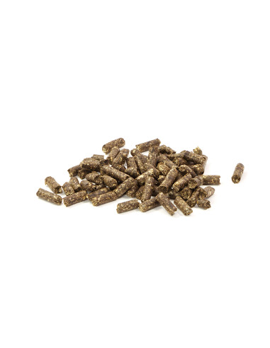 GlasGarten - Humin Sticks  30gr