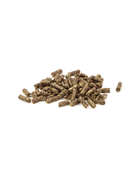 GlasGarten - Humin Sticks  30gr