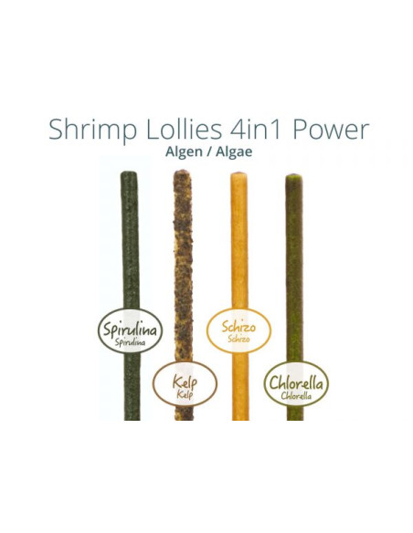 GlasGarten – Shrimp Lollies – 4in1 Algae Power