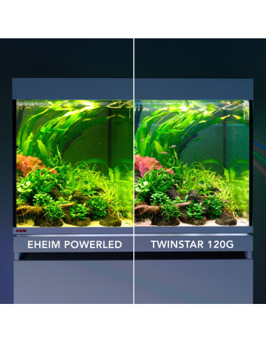 Twinstar Light G-Line 100G+ (étanche)