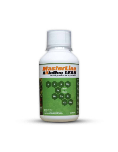 MasterLine - All In One Lean 200ml