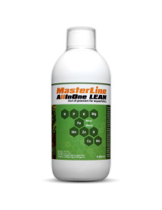 MasterLine - All In One Lean 500ml