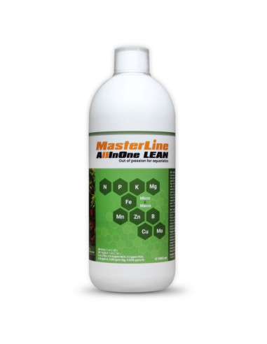 MasterLine - All In One Lean 1L