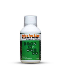 MasterLine - All In One Boost 200ml