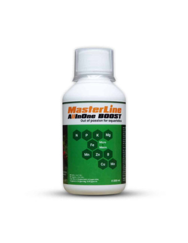 MasterLine - All In One Boost 200ml