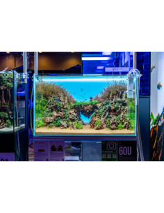 UNS - ATMOS Backlight 2