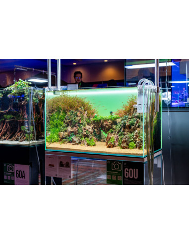 UNS - ATMOS Backlight