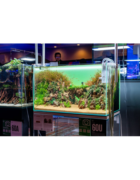 UNS - ATMOS Backlight