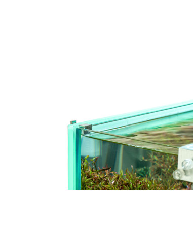 UNS - ATMOS Backlight