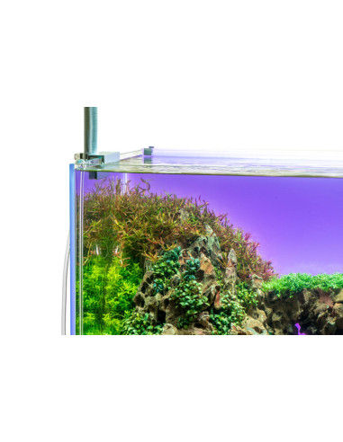 UNS - ATMOS Backlight