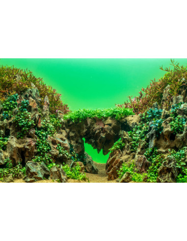 UNS - ATMOS Backlight