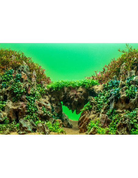 UNS - ATMOS Backlight