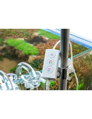 UNS - ATMOS Backlight