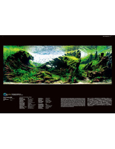 ADA - IAPLC Contest Book 2024 2