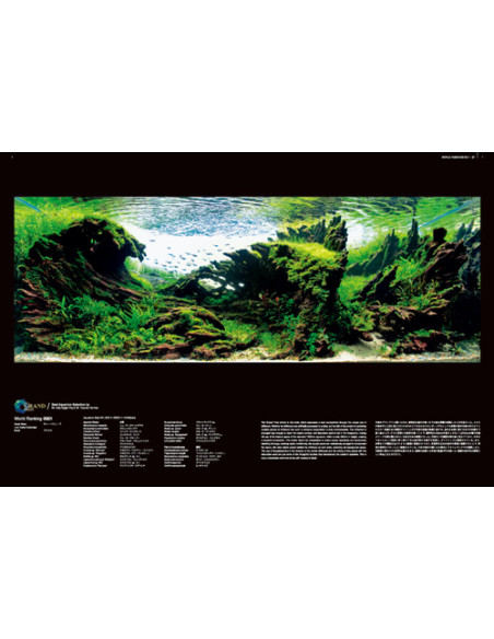 ADA - IAPLC Contest Book 2024