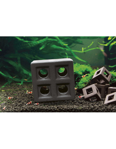 AQL - Cube pour crevettes Brun 65 mm