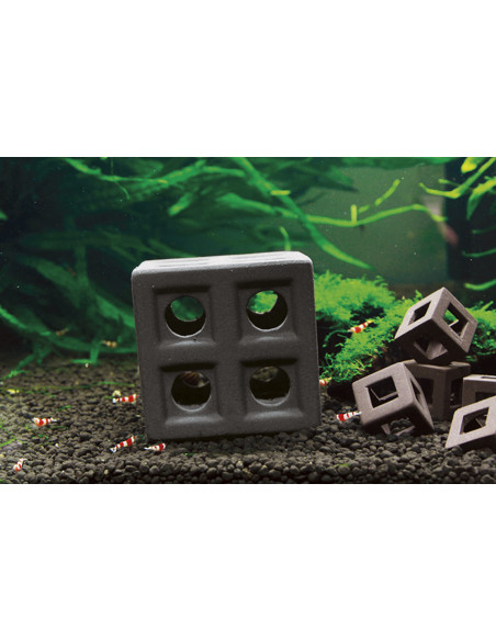 AQL - Cube pour crevettes Brun 65 mm