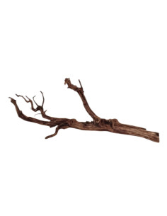 Dark Snake Wood DSWM02