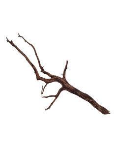 Dark Snake Wood DSWM03