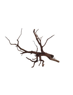 Dark Snake Wood DSWM10
