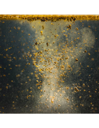 StreamBiz - Betta Nature Granulés 40g