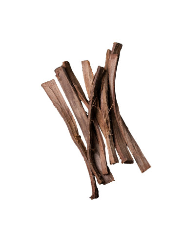 Dennerle Nano Catappa Barks - 8 écorces