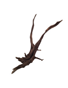 Racine River Wood RW02