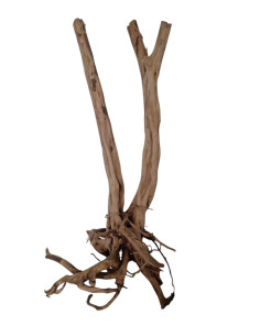 Stump Wood SW03