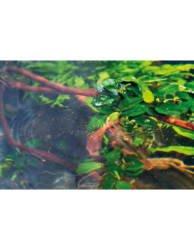 Oase - Organix Baby Powder 175ml