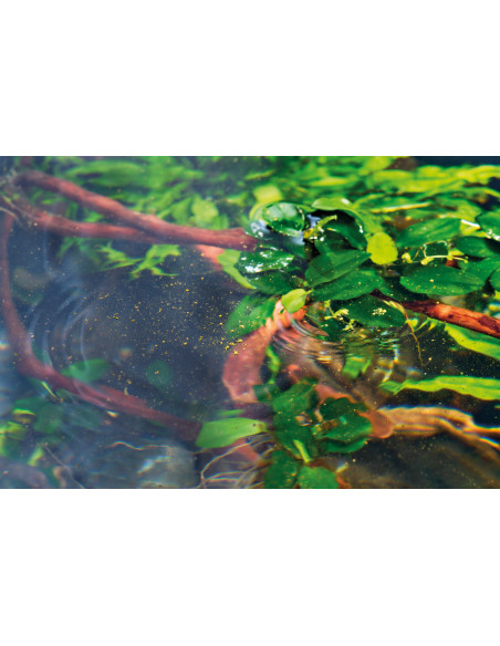 Oase - Organix Baby Powder 175ml