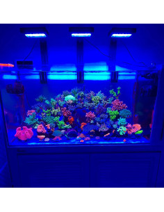 Chihiros - Nova 1 (126 W) 2