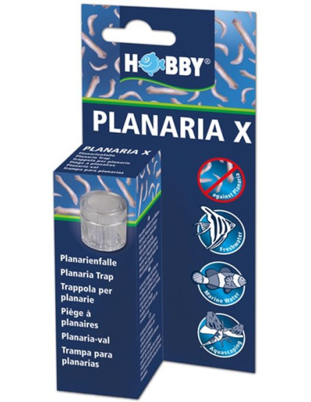 Hobby - Planaria X - Piège à planaires