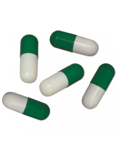 Hobby - Planaria Special Bait - 5pcs 2