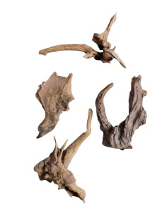 Racine DriftWood XS 10-20cm à la Piéce