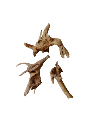 Racine DriftWood M 30-40cm à la Piéce