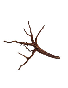 Dark Snake Wood DSWL02