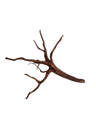 Dark Snake Wood DSWL02