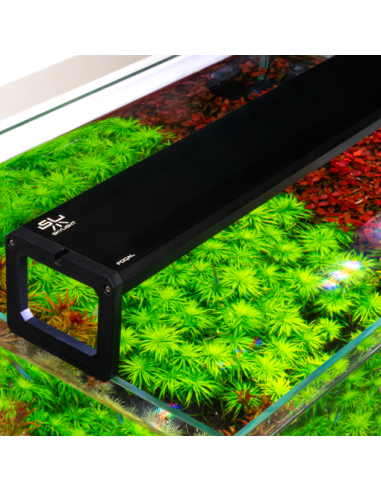 Skylight FOQAL FXL.75H