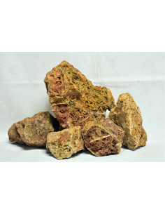 Maple Leaf Rock (au kilo)