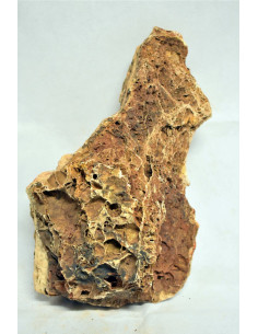 Maple Leaf Rock (au kilo) 2