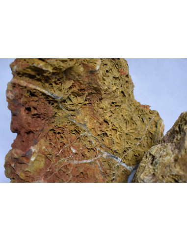 Maple Leaf Rock (au kilo)