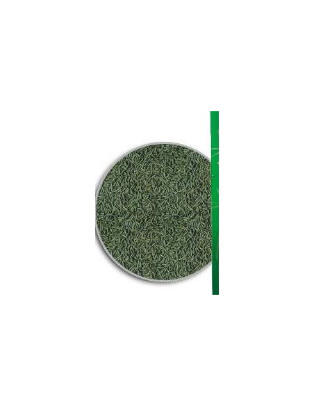 Tropical - Caridina Nano Sticks (10 g)