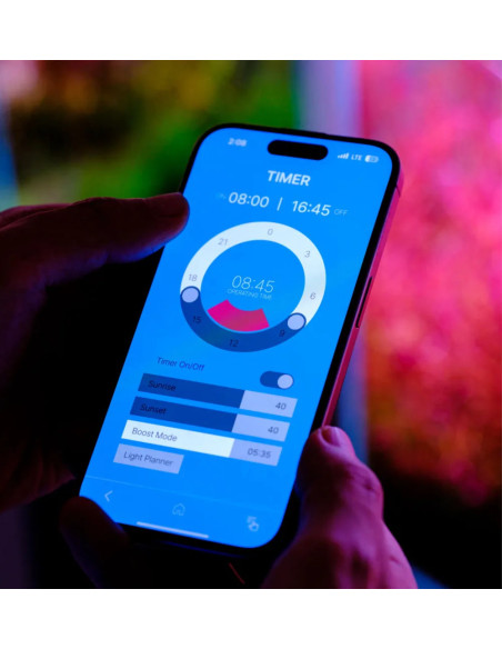 Twinstar Light V 200S