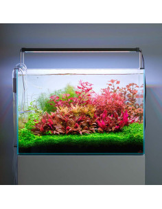 Twinstar Light V 200S 2