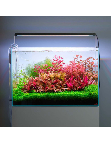 Twinstar Light V 600S